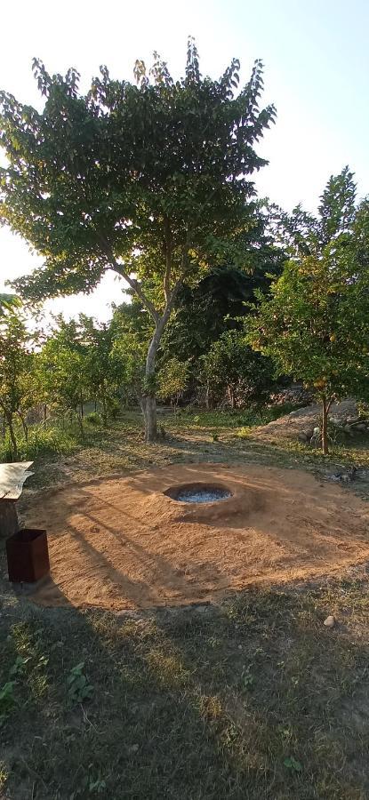 Corbett Nature Retreat Ramnagar  Dış mekan fotoğraf